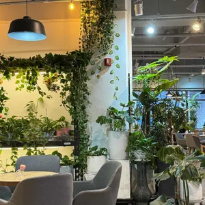 그린앤코 대표 사진