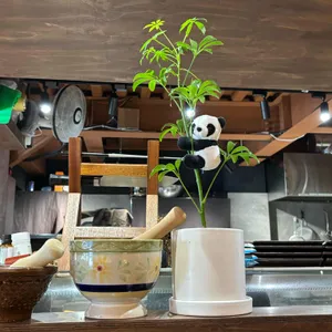 단촛물1994 대표 사진