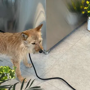 잔풀 대표 사진