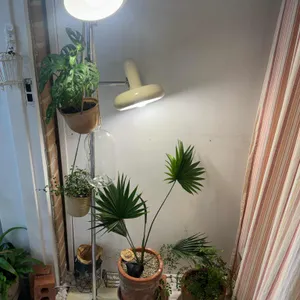 잔풀 리뷰 사진