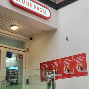 블루메베이글 대표 사진