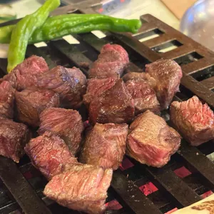 백송한우 사진 1