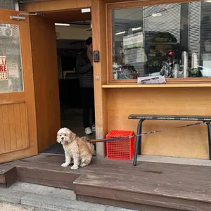 마르코웤스 사진 1