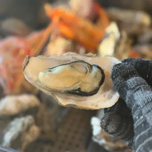 구이바다 대표 사진