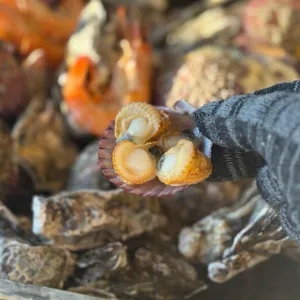 구이바다 대표 사진