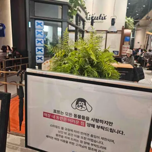 효뜨 리뷰 사진