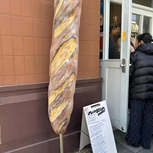 몽심 대표 사진