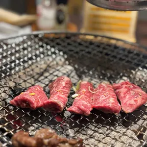 만게츠 대표 사진