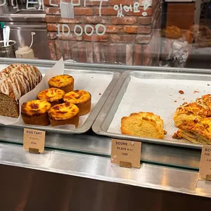 알베르 리뷰 사진