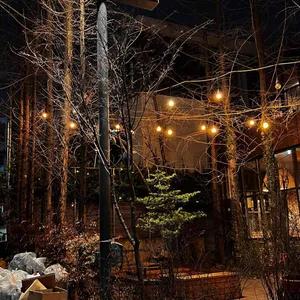 알베르 리뷰 사진