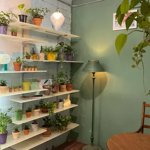 리듬 대표 사진