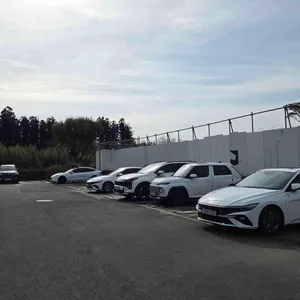 우동 카덴 리뷰 사진