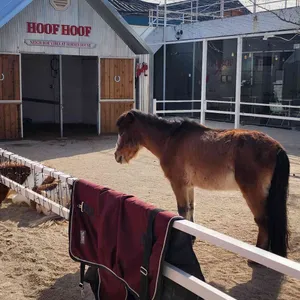 후프후프 사진 1