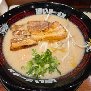 코이라멘 대표 사진