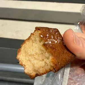 고드니 대표 사진