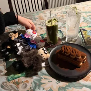 알렉스룸 대표 사진