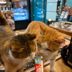 스틸존 대표 사진