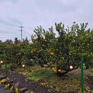 카페 마망 대표 사진