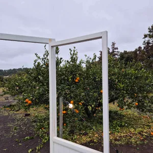 카페 마망 리뷰 사진