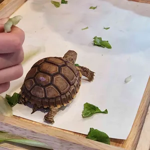 작은연못 대표 사진