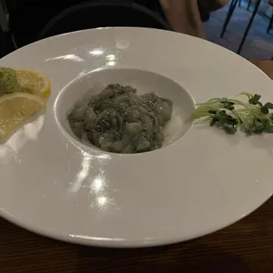 닷지 대표 사진