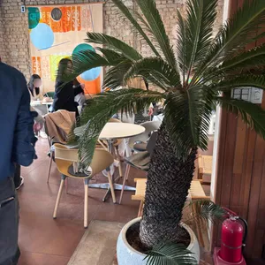 머씨커피 리뷰 사진