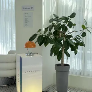 LOVE LAKE 대표 사진