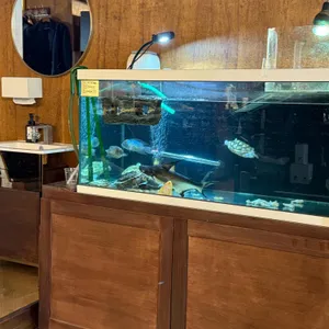 가온카페 대표 사진