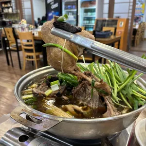 느티나무 대표 사진