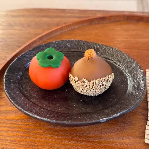 가봉반과 대표 사진