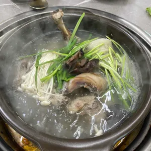 월척오리 사진 1