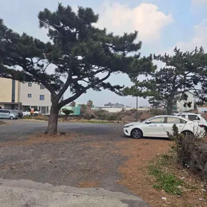 제갈양 리뷰 사진