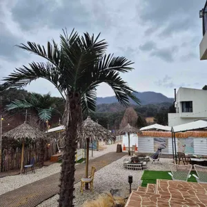 카페 미아스텔라 리뷰 사진