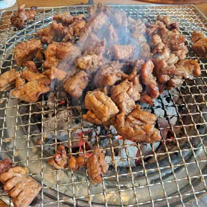 갈비꽃 대표 사진