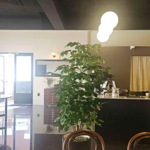 페르메아레 리뷰 사진