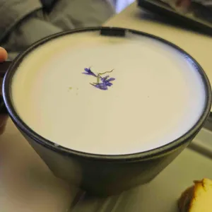 리플렉트커피 로스팅 랩 사진