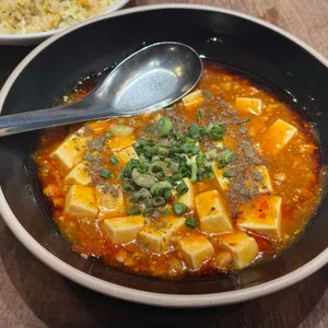 바오하우스 대표 사진