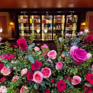 라망 시크레 대표 사진