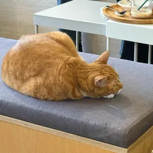 카페무네 대표 사진