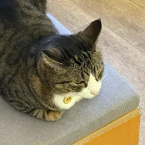 카페무네 대표 사진