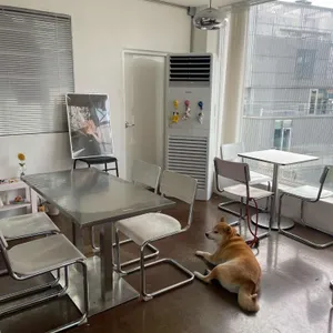 쿄이 대표 사진