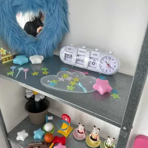 쿄이 대표 사진