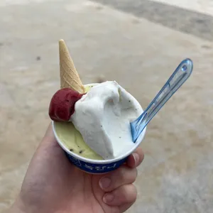 녹쟌니 대표 사진