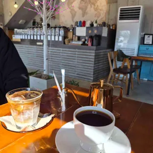 보드니아 대표 사진