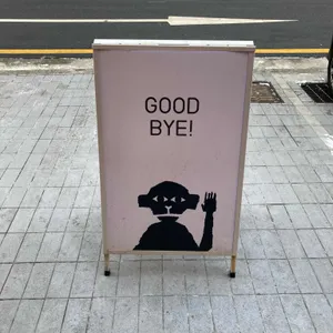 LAZY YOUTH 대표 사진