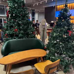 파스쿠찌 대표 사진