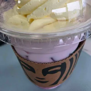 스타벅스 대표 사진