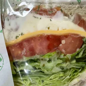 샐러리아 사진 1