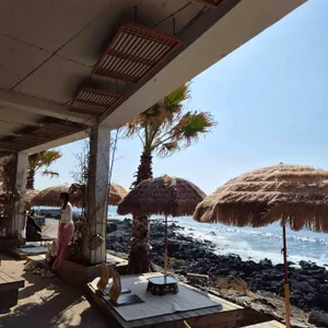 해지개 대표 사진