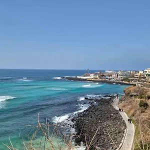 해지개 대표 사진